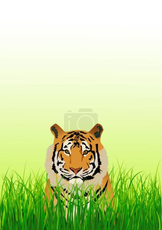 Illustration for Tiger in the grass, vector illustration - Royalty Free Image