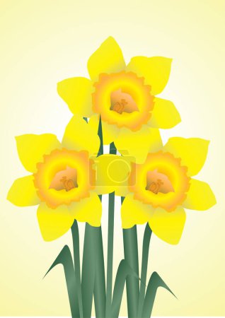 Ilustración de Narcisos amarillos sobre un fondo amarillo - Imagen libre de derechos