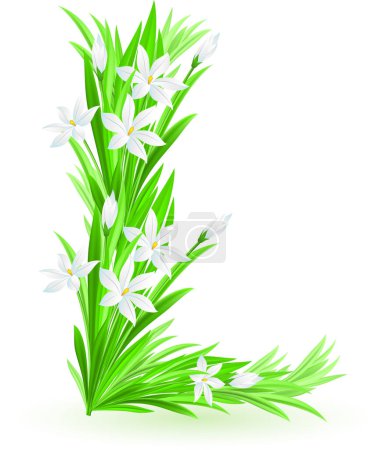 Téléchargez les illustrations : Green grass with white flowers on white background. vector illustration - en licence libre de droit
