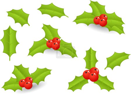 Ilustración de Navidad bayas de acebo fondo transparente, vector - Imagen libre de derechos