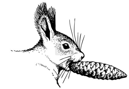 Téléchargez les illustrations : Illustration vectorielle d'un lapin. dessin noir et blanc - en licence libre de droit