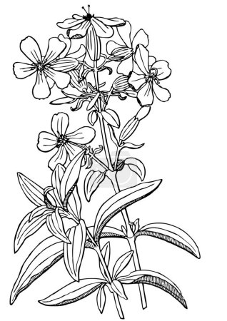 Ilustración de Vector ilustración del fondo del festival con elementos florales - Imagen libre de derechos