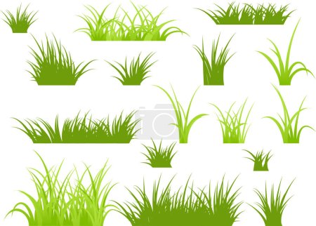 Illustration for Vector set of grass isolated - Royalty Free Image