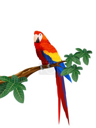 Illustration for Parrot on the branch vector illustration. - Royalty Free Image