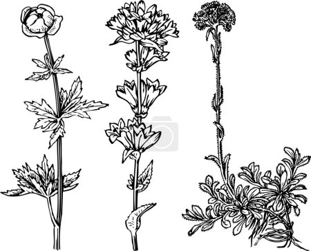 Téléchargez les illustrations : Illustration vectorielle du fond du festival avec des éléments floraux - en licence libre de droit
