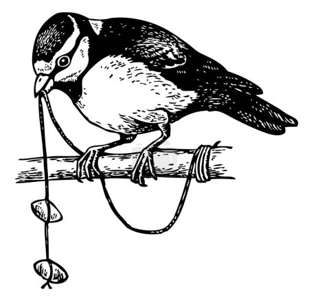 Ilustración de Ilustración de un pájaro en una rama - Imagen libre de derechos