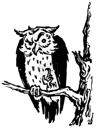 Téléchargez les illustrations : Hibou dans la forêt. illustration vectorielle. - en licence libre de droit