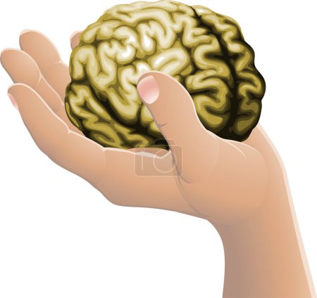 Illustration for Hand holding a brain illustration - Royalty Free Image