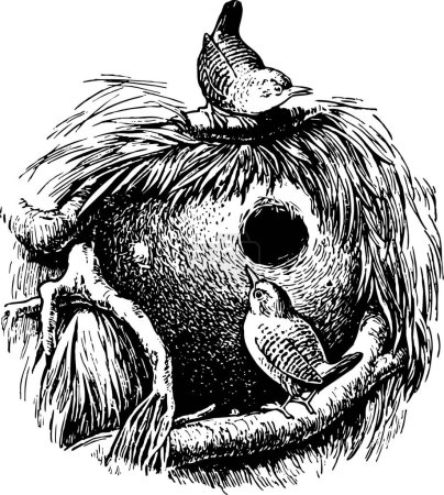 Téléchargez les illustrations : Illustration vectorielle d'un oiseau mignon près de leur nid - en licence libre de droit