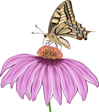 Téléchargez les illustrations : Papillon avec une fleur - en licence libre de droit