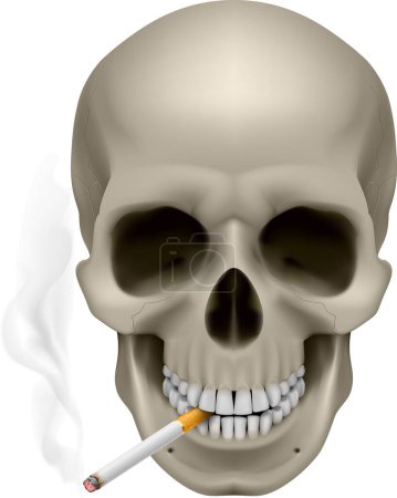 Illustration for Human Skull with a cigarette. Illustration on white background - Royalty Free Image