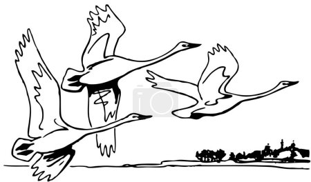 Téléchargez les illustrations : Illustration d'un troupeau de canards s'envolant - en licence libre de droit