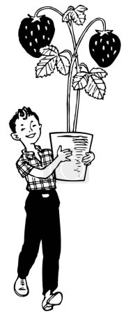 Téléchargez les illustrations : Illustration de dessin animé noir et blanc de jeune garçon avec des fraises en pot - en licence libre de droit