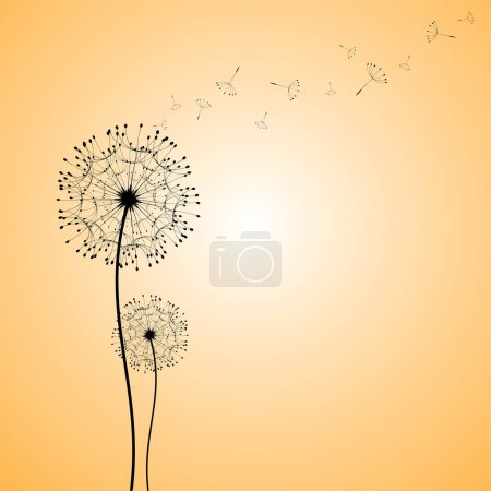 Illustration for Vector illustration of creative floral background with beautiful flowers - Royalty Free Image