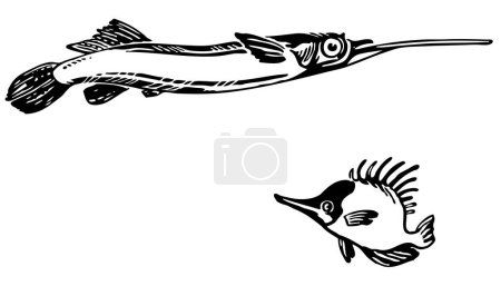 Téléchargez les illustrations : Illustration vectorielle en noir et blanc des poissons - en licence libre de droit