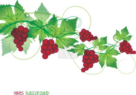 Téléchargez les illustrations : Vecteur fond floral avec des baies rouges - en licence libre de droit