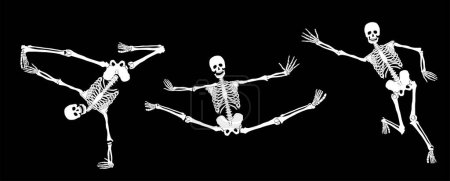 Ilustración de Ilustración de esqueletos humanos sobre fondo negro - Imagen libre de derechos