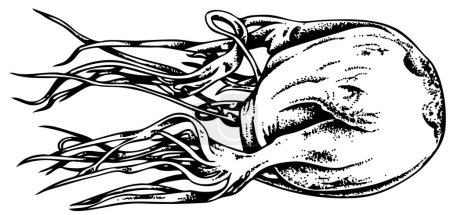 Téléchargez les illustrations : Illustration en noir et blanc d'un estomac humain - en licence libre de droit