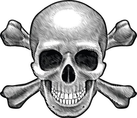 Téléchargez les illustrations : Crâne avec os, dessin de ligne vintage ou illustration de gravure. - en licence libre de droit