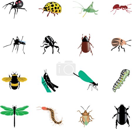 Foto de Conjunto de iconos de insectos en blanco - Imagen libre de derechos
