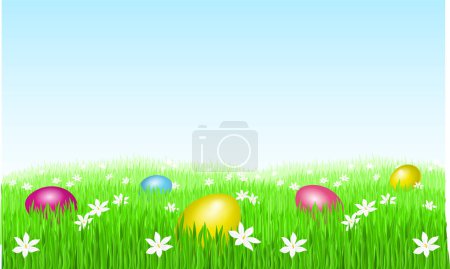 Illustration for Vector easter eggs in grass - Royalty Free Image