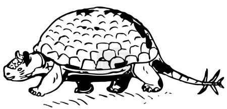 Ilustración de Ilustración de una tortuga de dibujos animados - Imagen libre de derechos