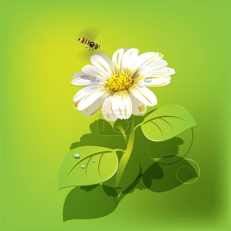 Téléchargez les illustrations : Illustration vectorielle, fleurs avec papillon, sur fond vert - en licence libre de droit