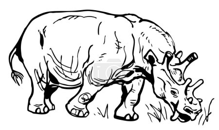 Ilustración de Ilustración de un rinoceronte sobre fondo blanco - Imagen libre de derechos