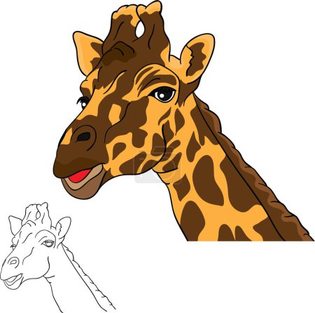 Illustration for Vector illustration of giraffe cartoon - Royalty Free Image