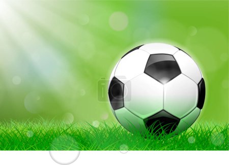 Illustration for Vector illustration of a soccer ball - Royalty Free Image