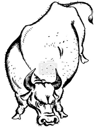 Téléchargez les illustrations : Illustration d'un taureau prêt à se battre sur fond blanc - en licence libre de droit