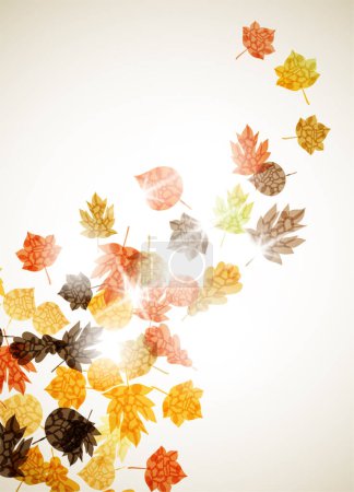 Illustration for Autumn maple leaves. autumn season background - Royalty Free Image