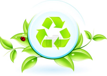 Ilustración de Ilustración vectorial de la hoja verde y reciclar sobre fondo blanco - Imagen libre de derechos