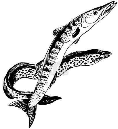 Téléchargez les illustrations : Illustration d'un poisson - en licence libre de droit