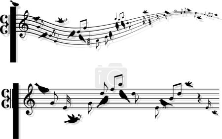 Téléchargez les illustrations : Notes de musique et oiseaux sur fond blanc - en licence libre de droit
