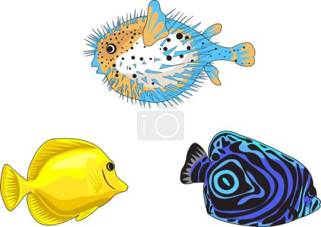 Téléchargez les illustrations : Jeu de différents poissons tropicaux illustration - en licence libre de droit