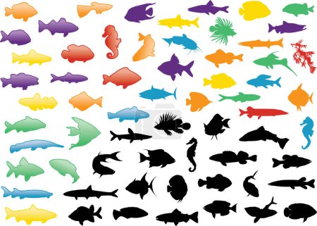 Téléchargez les illustrations : Ensemble de silhouettes de poissons - en licence libre de droit