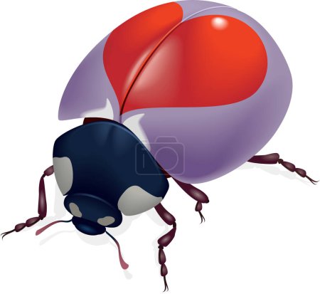 Illustration for Cartoon character of bug on white background - Royalty Free Image