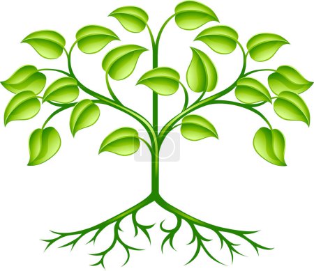 Téléchargez les illustrations : Arbre vert vecteur avec feuilles - en licence libre de droit