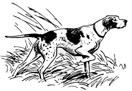 Téléchargez les illustrations : Illustration vectorielle de chien - en licence libre de droit
