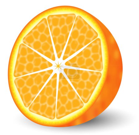 Ilustración de Rebanada naranja sobre fondo blanco - Imagen libre de derechos