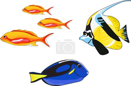 Ilustración de Ilustración vectorial de peces - Imagen libre de derechos