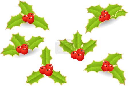 Illustration for Set of red holly berries with green leaves - Royalty Free Image