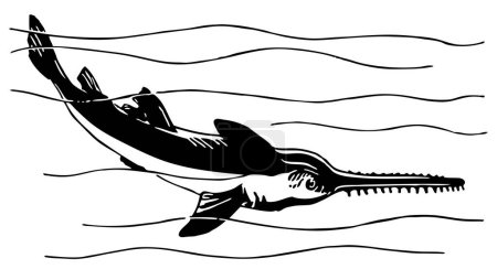Ilustración de Vector silueta en blanco y negro de los peces bebidos - Imagen libre de derechos