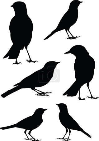 Téléchargez les illustrations : Silhouettes noires d'oiseaux sur fond blanc - en licence libre de droit