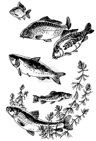 Ilustración de Conjunto de carpas de pesca - Imagen libre de derechos