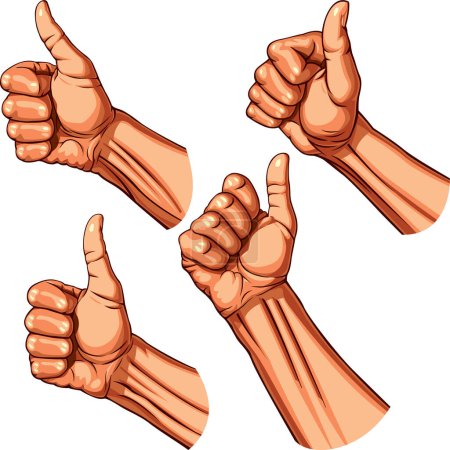 Illustration for Vector set of hand making thumb up sign - Royalty Free Image