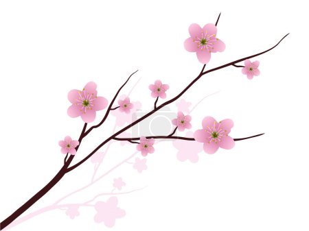 Illustration for Branch with pink sakura - Royalty Free Image
