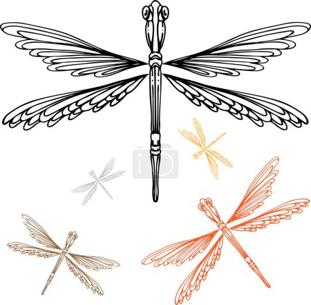 Ilustración de Conjunto de libélulas, ilustración dibujada a mano aislada sobre fondo blanco. - Imagen libre de derechos