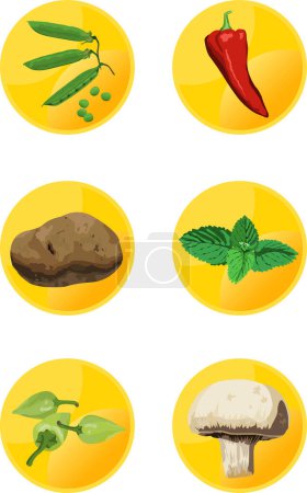 Illustration for Set of food icons on white. - Royalty Free Image